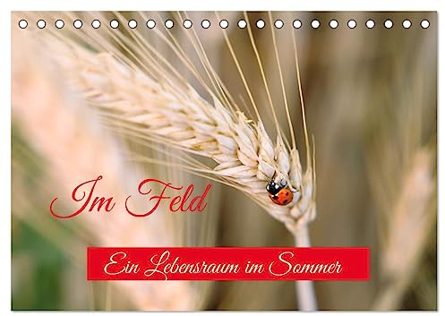 Im Feld (Tischkalender 2026 DIN A5 quer), CALVENDO Monatskalender: Das Feld im Sommer ist ein Lebensraum für viele Tiere und Pflanzen. (CALVENDO Natur)
