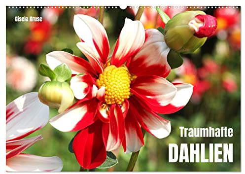 Traumhafte Dahlien (Wandkalender 2026 DIN A2 quer), CALVENDO Monatskalender: Die Königin des Spätsommers in farbenfroh leuchtenden Fotografien (CALVENDO Natur)