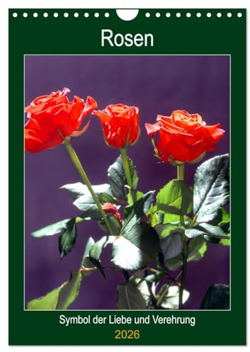 Rosen - Symbol der Liebe und Verehrung (Wandkalender 2026 DIN A4 hoch), CALVENDO Monatskalender: Rosenkalender - das besondere Geschenk (CALVENDO Kunst)