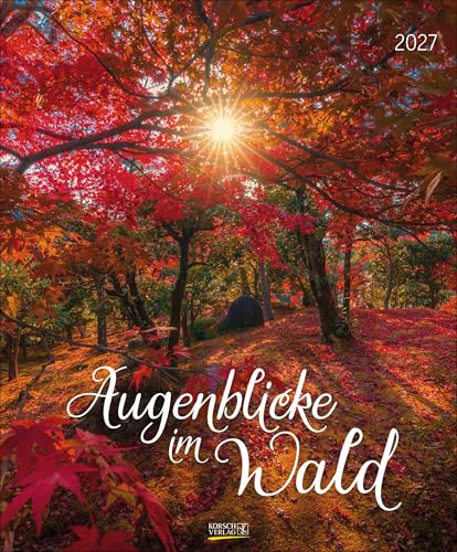 Augenblicke im Wald 2027: Wandkalender groß. Fotokunst-Kalender mit einzigartigen Bildern aus Wäldern. Großformat: 55 x 45,5 cm.
