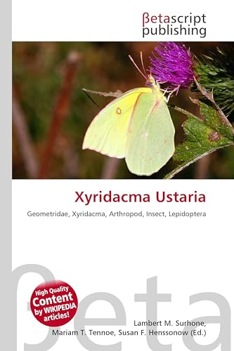 Xyridacma Ustaria: Geometridae, Xyridacma, Arthropod, Insect, Lepidoptera