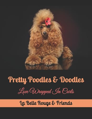 Pretty Poodles & Doodles: Love Wrapped In Curls