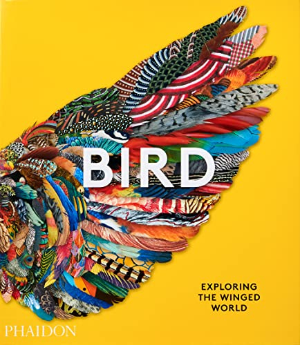 Bird: Exploring the Winged World (2021) (Arte)