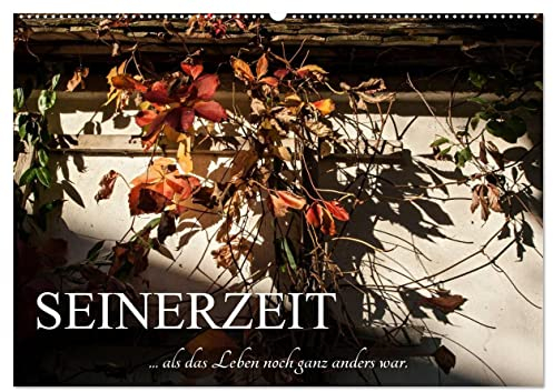 Seinerzeit (Wandkalender 2025 DIN A2 quer), CALVENDO Monatskalender: Nostalgische Ansichten aus dem Museumsdorf Niedersulz (CALVENDO Orte)