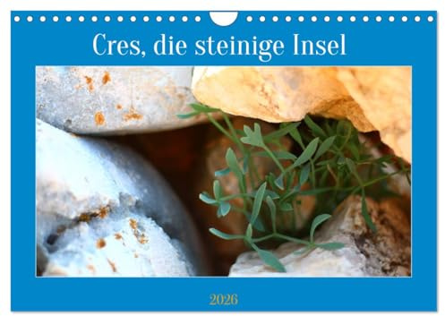 Cres, die steinige Insel (Wandkalender 2026 DIN A4 quer), CALVENDO Monatskalender: Besondere Steinformationen auf der kroatischen Insel Cres (CALVENDO Natur)