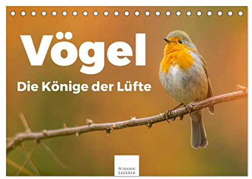 Vögel - Die Könige der Lüfte (Tischkalender 2026 DIN A5 quer), CALVENDO Monatskalender: Entdecken Sie die Welt der Vögel. (CALVENDO Tiere)