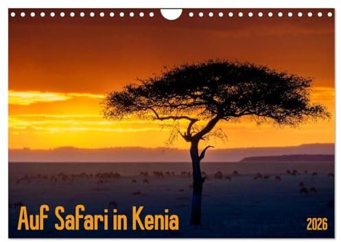 Auf Safari in Kenia 2026 (Wandkalender 2026 DIN A4 quer), CALVENDO Monatskalender: Landschaften und Tiere aus Kenias Süden (CALVENDO Natur)