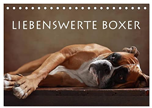 Liebenswerte Boxer (Tischkalender 2026 DIN A5 quer), CALVENDO Monatskalender: Liebenswerte Boxer im Portrait (CALVENDO Tiere)