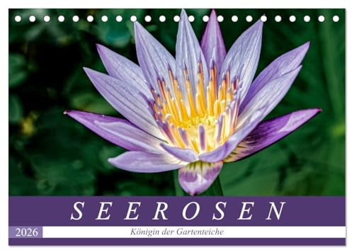 Seerosen - Königin der Gartenteiche (Tischkalender 2026 DIN A5 quer), CALVENDO Monatskalender: Seerosen: Zauberhafte Ansichten der schwimmenden Schönheiten. (CALVENDO Natur)