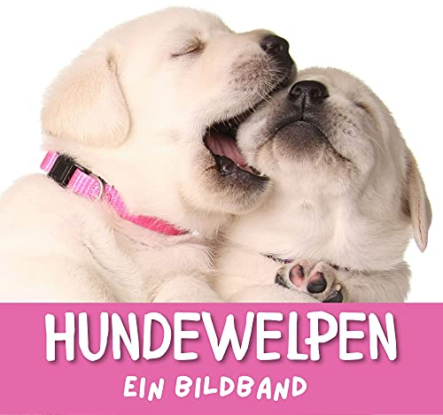 Hundewelpen: Ein Bildband