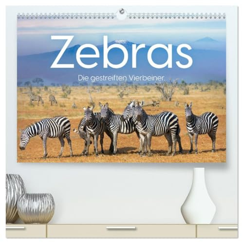 Zebras - Die gestreiften Vierbeiner. (hochwertiger Premium Wandkalender 2026 DIN A2 quer), Kunstdruck in Hochglanz: Komm mit auf eine Reise zu den Zebras (CALVENDO Tiere)