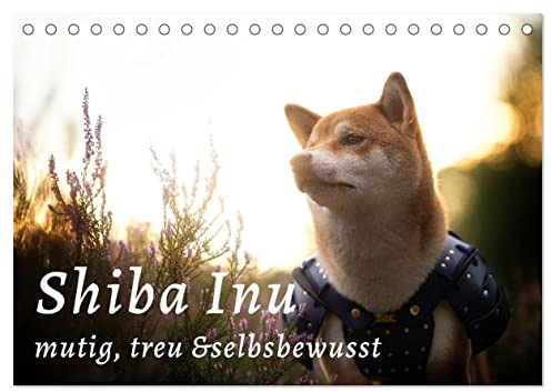 Shiba Inu - mutig, treu, selbstbewusst (Tischkalender 2026 DIN A5 quer), CALVENDO Monatskalender: Der kleine Japaner mit dem großen Lächeln und großen Gefühlen (CALVENDO Tiere)