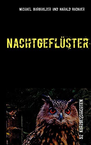 Nachtgeflüster: 52 Geschichten über nächtliche Begebenheiten ((Literarisches) Bier-, Nacht- und Beziehungsgeflüster)