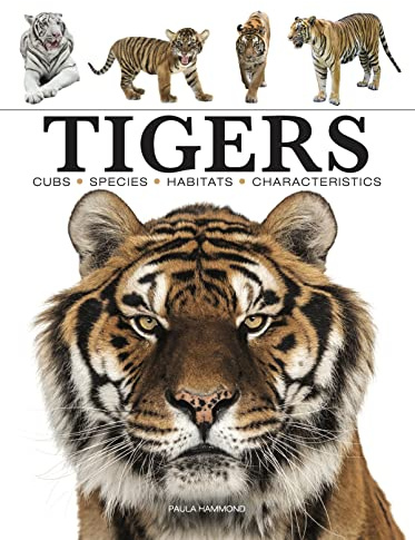 Tigers (Mini Encyclopedias)