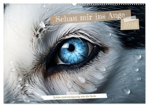 Schau mir ins Auge (Wandkalender 2026 DIN A2 quer), CALVENDO Monatskalender: Augen sind Fenster in eine neue Welt (CALVENDO Tiere)