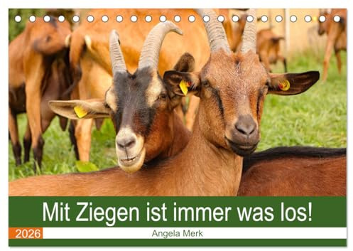 Mit Ziegen ist immer was los! (Tischkalender 2026 DIN A5 quer), CALVENDO Monatskalender: Mit Ziegen kommt keine Langeweile auf! (CALVENDO Tiere)