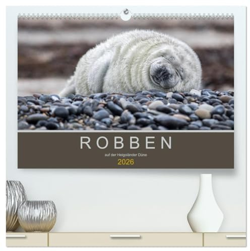 Robben auf der Helgoländer Düne (hochwertiger Premium Wandkalender 2026 DIN A2 quer), Kunstdruck in Hochglanz: Kegelrobben auf der Düne vor Helgoland (CALVENDO Tiere)