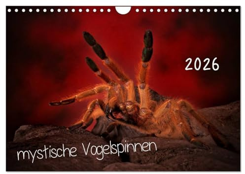 Mystische Vogelspinnen (Wandkalender 2026 DIN A4 quer), CALVENDO Monatskalender: Vogelspinnenkalender (CALVENDO Tiere)