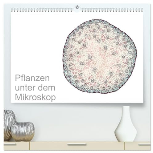 Pflanzen unter dem Mikroskop (hochwertiger Premium Wandkalender 2026 DIN A2 quer), Kunstdruck in Hochglanz: Eindrucksvolle biologische Aufnahmen - das ... Stundent und Lehrer (CALVENDO Wissenschaft)