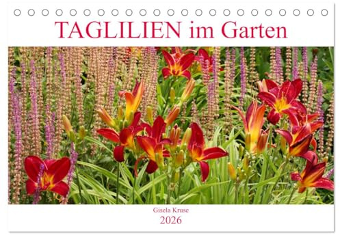 Taglilien im Garten (Tischkalender 2026 DIN A5 quer), CALVENDO Monatskalender: Ein Potpourri schöner Hemerocallis (CALVENDO Natur)