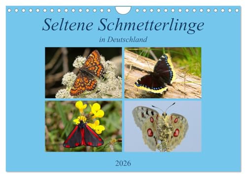 Seltene Schmetterlinge in Deutschland (Wandkalender 2026 DIN A4 quer), CALVENDO Monatskalender: Einblick in die Welt der Schmetterlinge (CALVENDO Tiere)