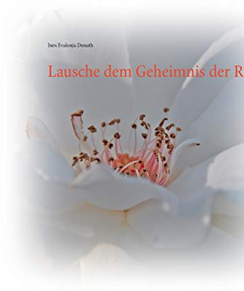 Wie der Osterhase Weihnachten durcheinanderbrachte