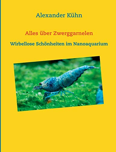 Alles über Zwerggarnelen: Wirbellose Schönheiten im Nanoaquarium