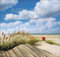 Inseln und Meer Edition Kalender 2022: Georg Quedens