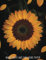Banjo Staff and Tablature Paper: Bluegrass Banjo Song Writing Journal Double Staff Blank Tab Book Music Notebook Sunflower Floral Cover