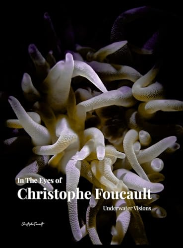 In The Eyes of Christophe Foucault Underwater Visions