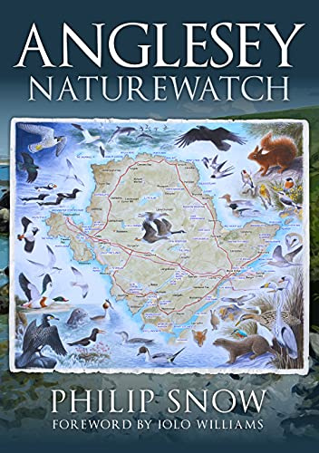 Amberley Publishing