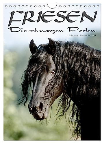 Friesen - die schwarzen Perlen (Wandkalender 2025 DIN A4 hoch), CALVENDO Monatskalender: Friesen - besonders schöne, herrlich lackschwarze Pferde (CALVENDO Tiere)