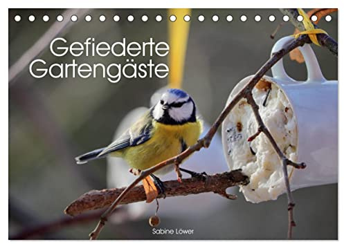 Gefiederte Gartengäste (Tischkalender 2026 DIN A5 quer), CALVENDO Monatskalender: Vögel, munteres Gezwitscher im Garten (CALVENDO Tiere)
