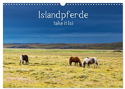 Islandpferde take it Isi (Wandkalender 2026 DIN A3 quer), CALVENDO Monatskalender: Die Welt der Islandpferde kann nur jeden Reiter begeistern (CALVENDO Tiere)