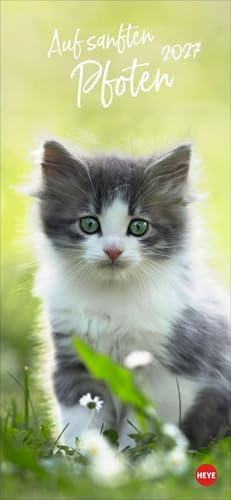 Katzen slim - Auf sanften Pfoten Kalender 2027: Tierkalender mit viel Platz für Termine und Notizen und unwiderstehlichen Katzenfotos. Dekorativer Langplaner für Übersicht und Organisation.