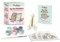 Pusheen by the Numbers: A Little Painting Kit (RP Minis)