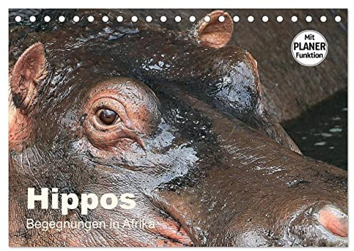 Hippos - Begegnungen in Afrika (Tischkalender 2026 DIN A5 quer), CALVENDO Monatskalender: Wundervolle Bilder aus der Welt der Flusspferde (CALVENDO Tiere)