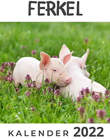 Ferkel: Kalender 2022
