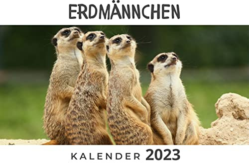 Erdmännchen: Kalender 2023