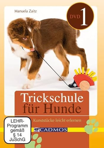 Trickschule für Hunde 1