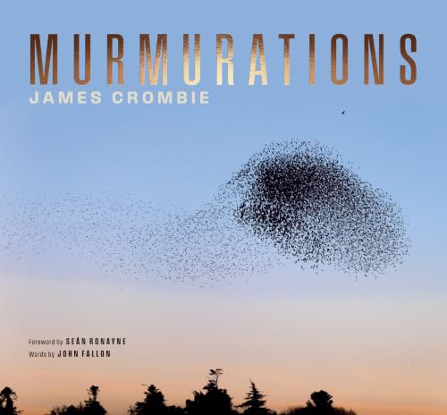 Murmurations