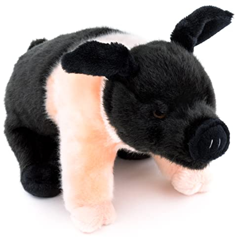 Uni-Toys - Angler Sattelschwein, stehend - 25 cm (Länge) - Plüsch-Schweinchen, Schwein - Plüschtier, Kuscheltier, (BH-13043)
