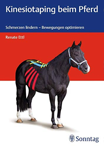Kinesiotaping beim Pferd: Schmerzen lindern - Bewegungen optimieren