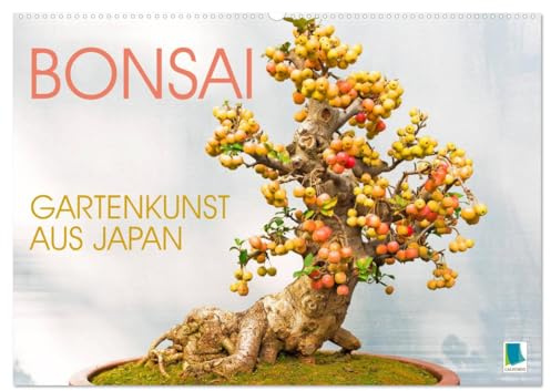 Gartenkunst aus Japan: Bonsai (Wandkalender 2026 DIN A2 quer), CALVENDO Monatskalender: Miniatur Zen-Garten: Miniaturbäume sind Ästhetik in Perfektion (CALVENDO Hobbys)