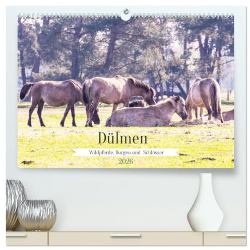 Dülmen - Wildpferde, Burgen und Schlösser (hochwertiger Premium Wandkalender 2026 DIN A2 quer), Kunstdruck in Hochglanz: Dülmen ist bekannt für seine ... Schlösser und Wasserburgen (CALVENDO Orte)