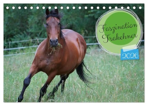 Faszination Trakehner (Tischkalender 2026 DIN A5 quer), CALVENDO Monatskalender: Ausgewählte Motive des braunen Trakehners Feldmeyer (CALVENDO Tiere)