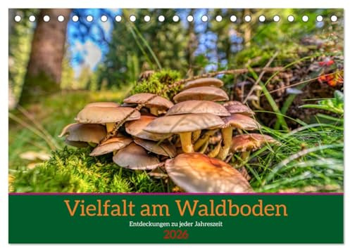 Vielfalt am Waldboden (Tischkalender 2026 DIN A5 quer), CALVENDO Monatskalender: Heimische Pilze aus dem Thüringer Wald (CALVENDO Natur)