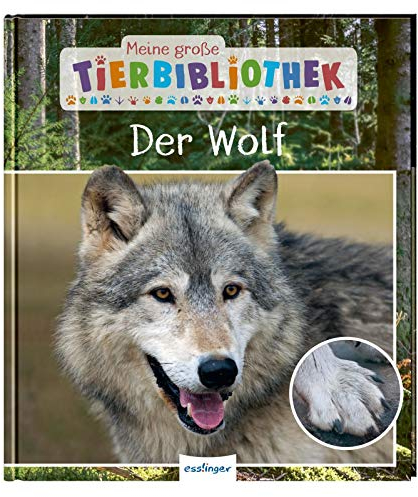 Meine große Tierbibliothek: Der Wolf: Sachbuch für Vorschule & Grundschule