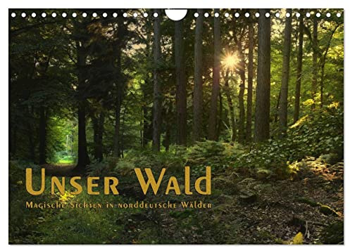 Unser Wald - Magische Sichten in norddeutsche Wälder/Geburtstagskalender (Wandkalender 2026 DIN A4 quer), CALVENDO Monatskalender: Malerische Blicke in den deutschen Wald (CALVENDO Natur)