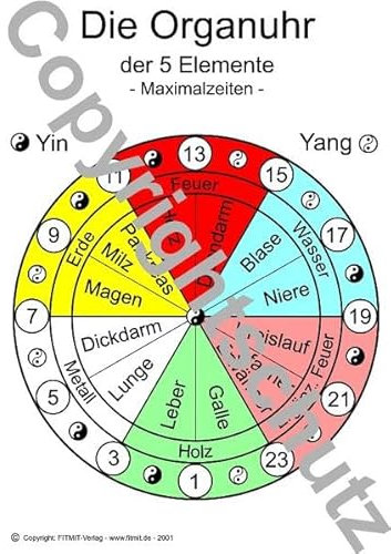 Organuhr Übersichtskarte DIN A4 (Lehrtafeln)